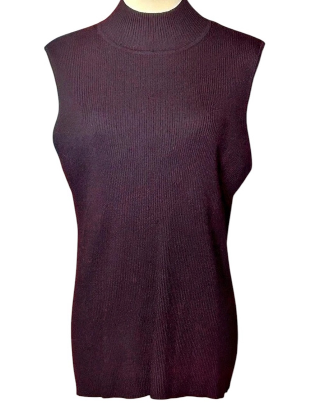 The Limited Ribbed Sleeveless Mock Neck Top Black Size 2